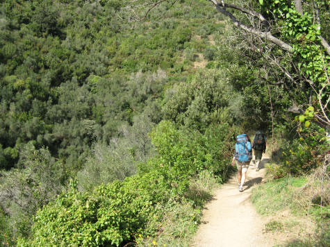 Cinque Terre Seaside Trail