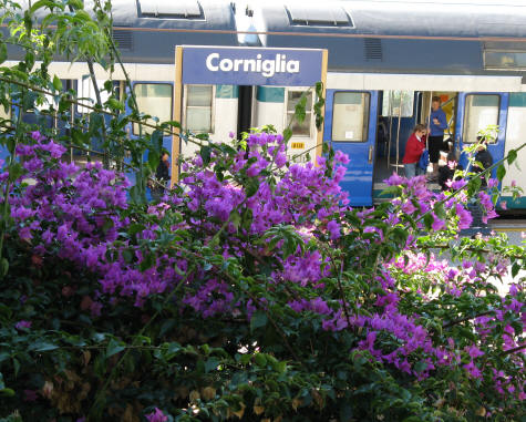 Train through Cinque Terre National Park