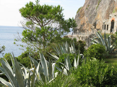 Trail from Manarola to Riomaggiore