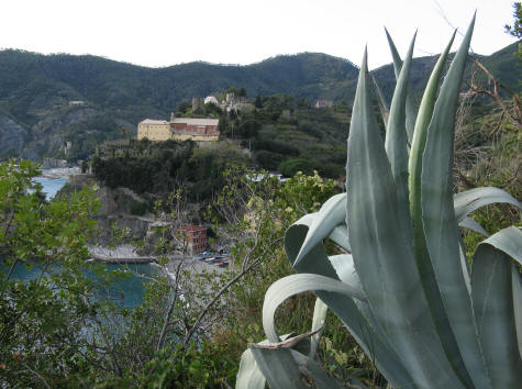 Monterosso Public Transit