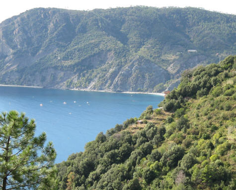 Sailing of the coast of Monterosso al Mare