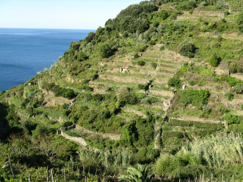 Trail from Vernazza to Corniglia Italy